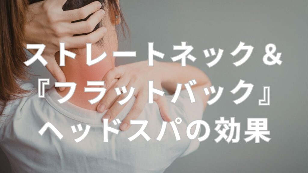 このアイキャッチの代替テキストを作成してください